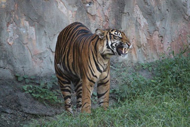 f0297893_22235791.jpg