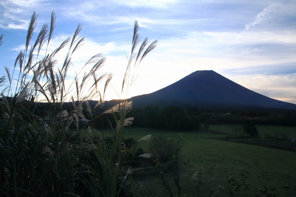 a0188405_02384983.jpg