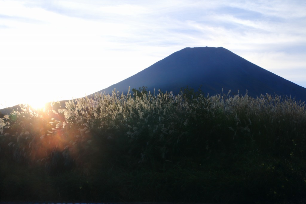 a0188405_02394128.jpg