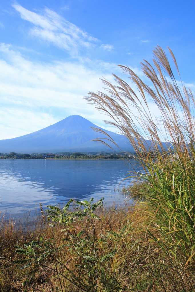 a0188405_17243830.jpg