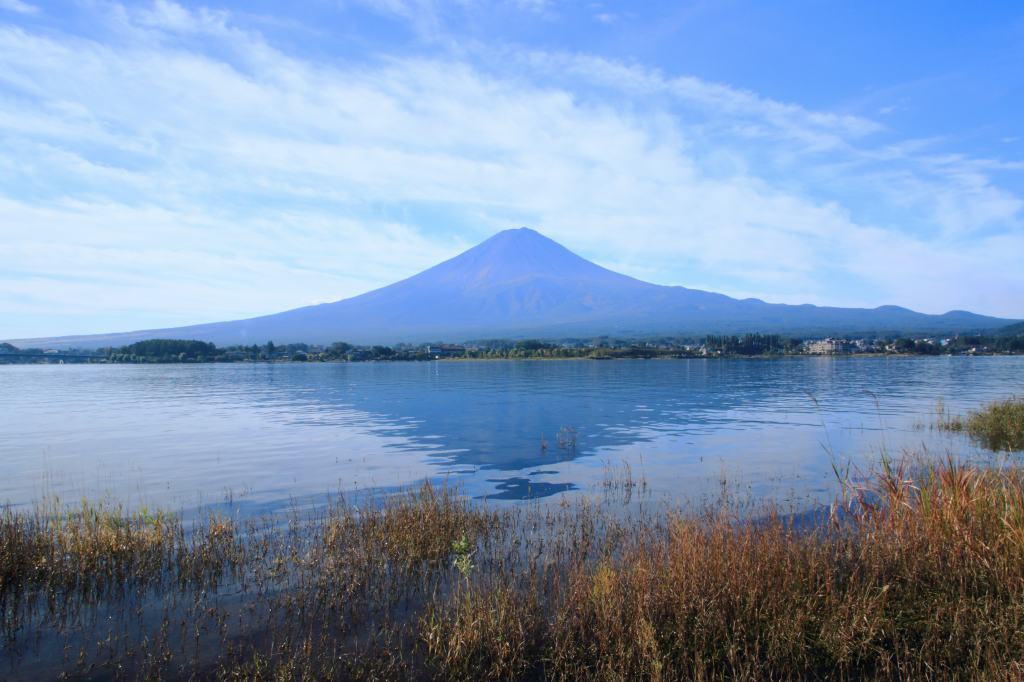 a0188405_17254101.jpg