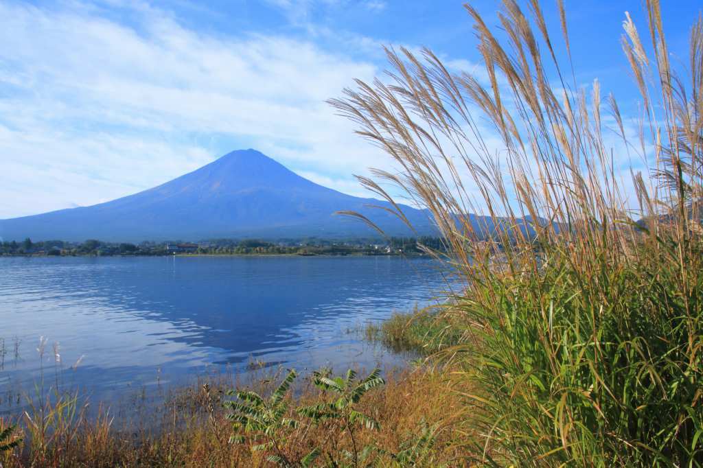 a0188405_17261368.jpg