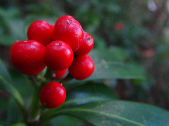 f0231709_14563072.jpg