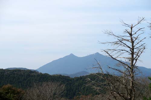f0147025_20394672.jpg