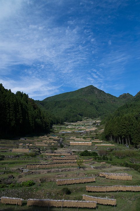 b0134829_19232295.jpg