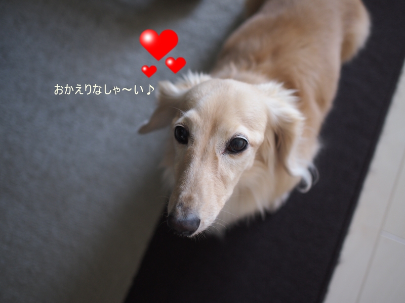 c0117831_18324225.jpg