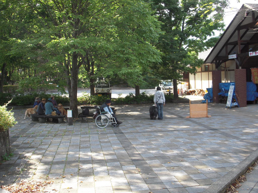 c0114833_902197.jpg
