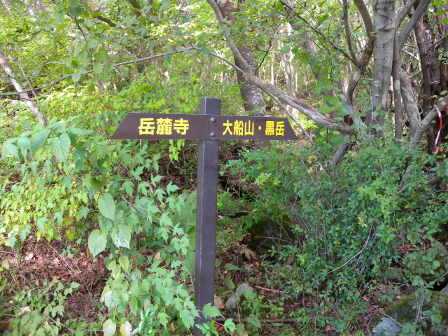 e0272335_4533797.jpg