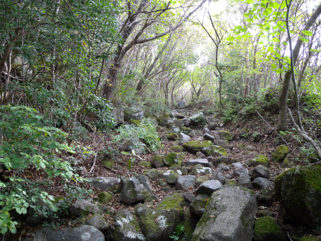 e0272335_4572551.jpg