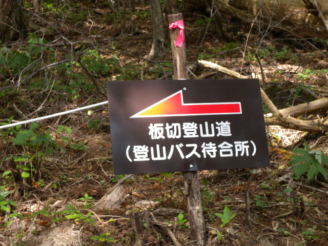 e0272335_5123035.jpg