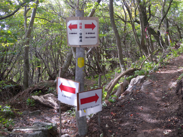 e0272335_5151732.jpg