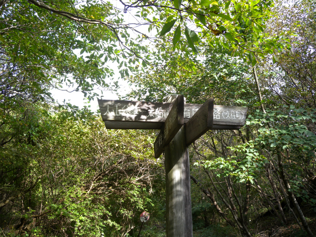 e0272335_534219.jpg