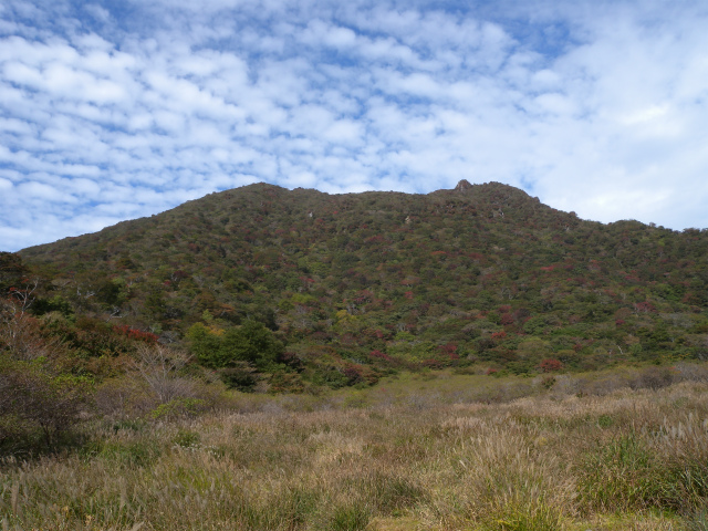 e0272335_5445585.jpg