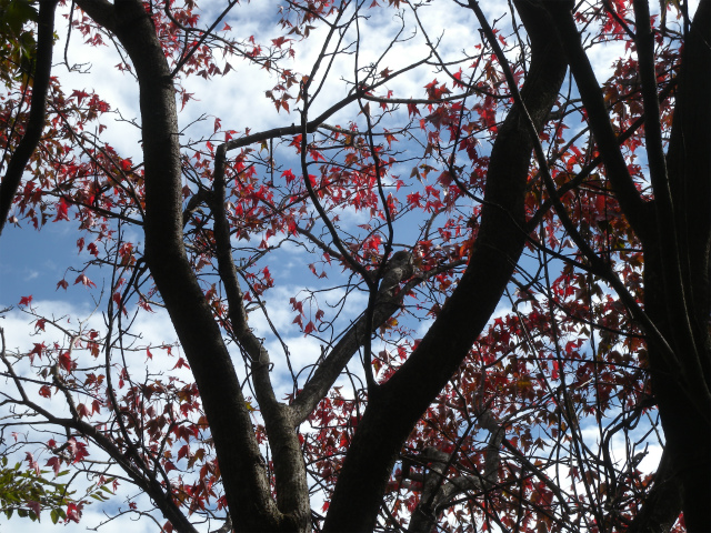 e0272335_5512818.jpg