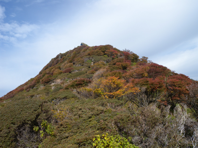 e0272335_8121224.jpg