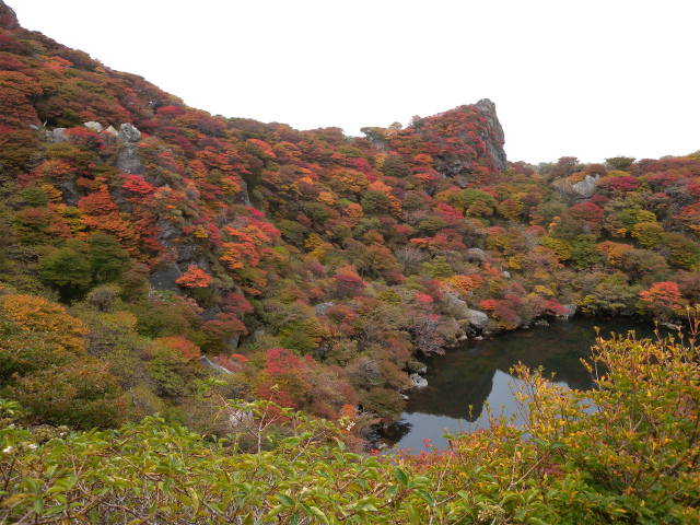 e0272335_8394039.jpg