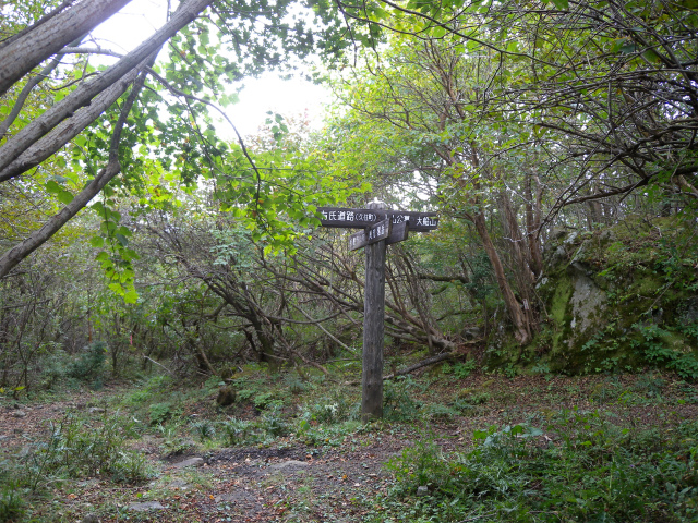 e0272335_9164925.jpg