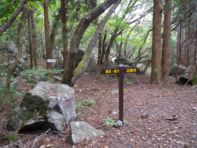 e0272335_974491.jpg