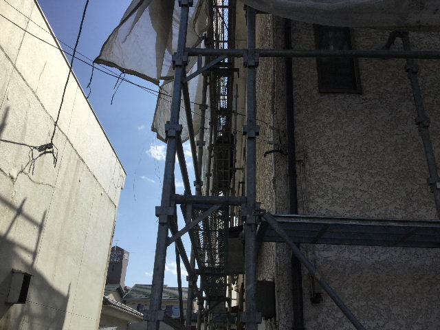 f0031037_20203368.jpg