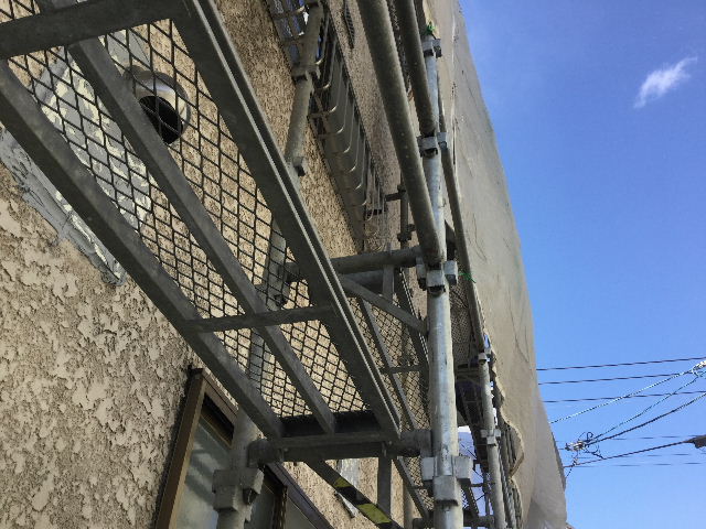 f0031037_20203911.jpg
