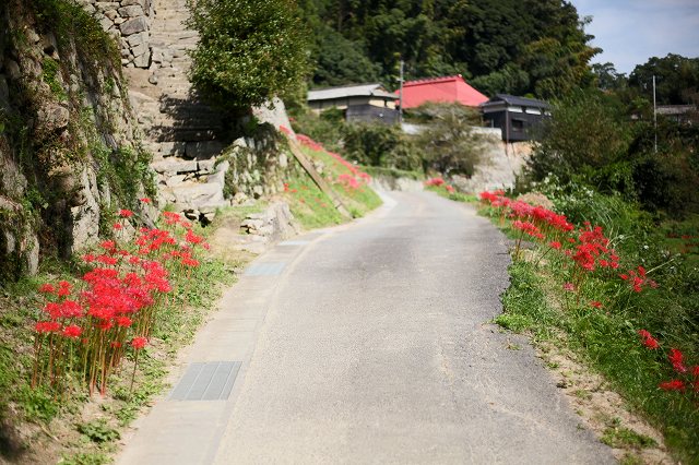 a0242438_1955433.jpg