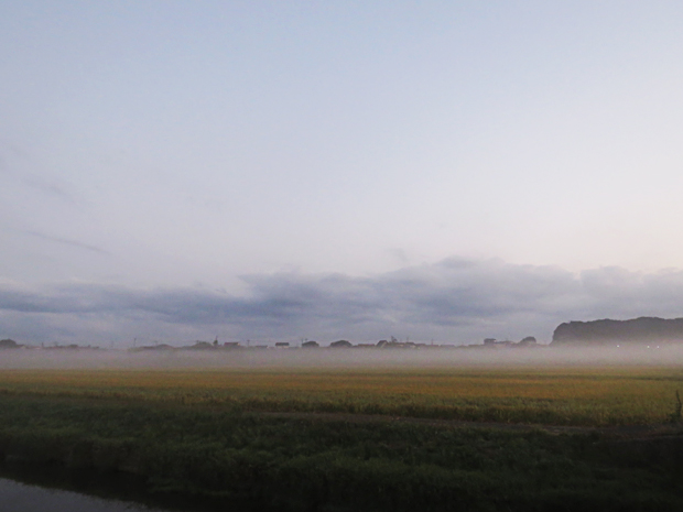 f0214649_11464615.jpg