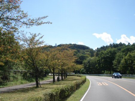 f0329554_19050200.jpg