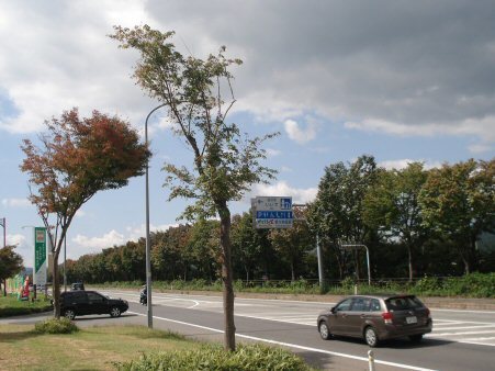 f0329554_19520051.jpg