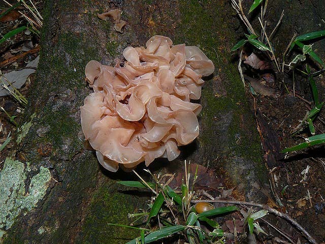 d0019074_8335212.jpg