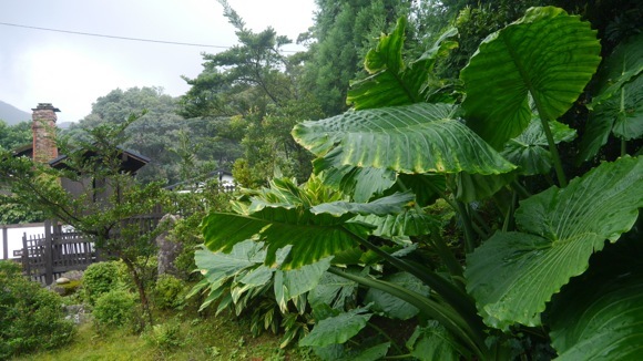 a0278382_12312739.jpg