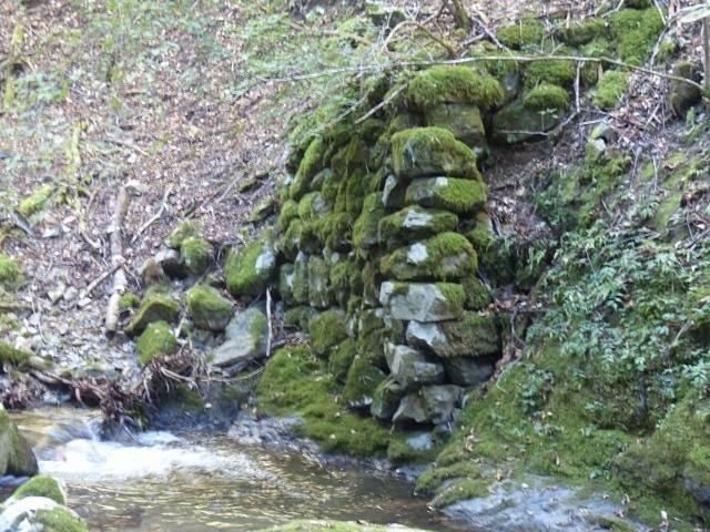 f0357487_1192760.jpg