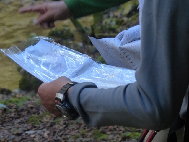 f0357487_1215495.jpg