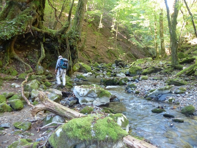 f0357487_1225079.jpg