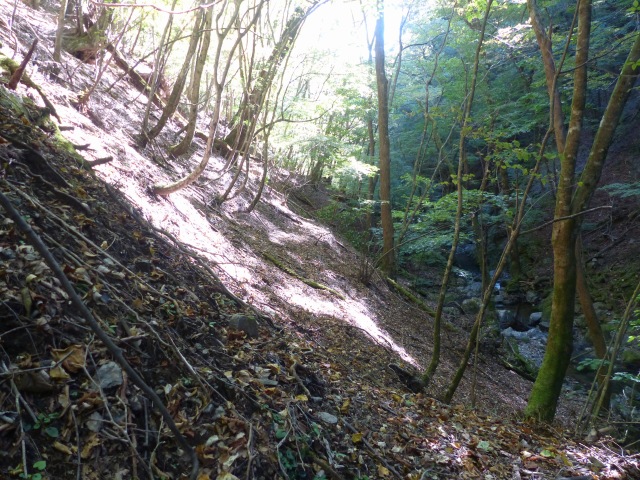 f0357487_126212.jpg