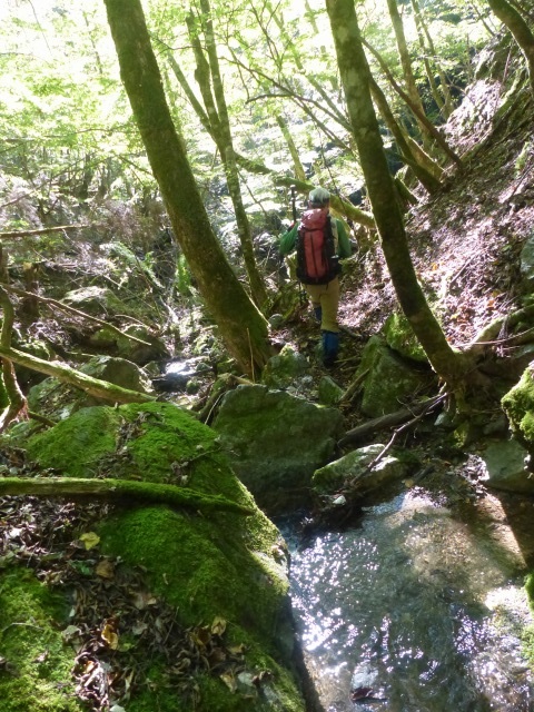 f0357487_152593.jpg