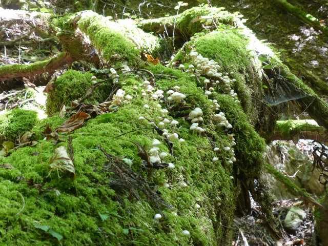 f0357487_15668.jpg