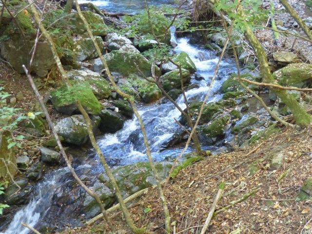 f0357487_22292837.jpg