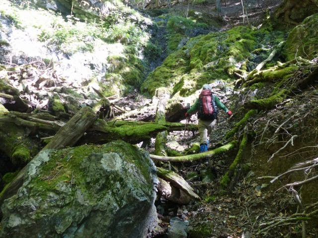 f0357487_22361992.jpg
