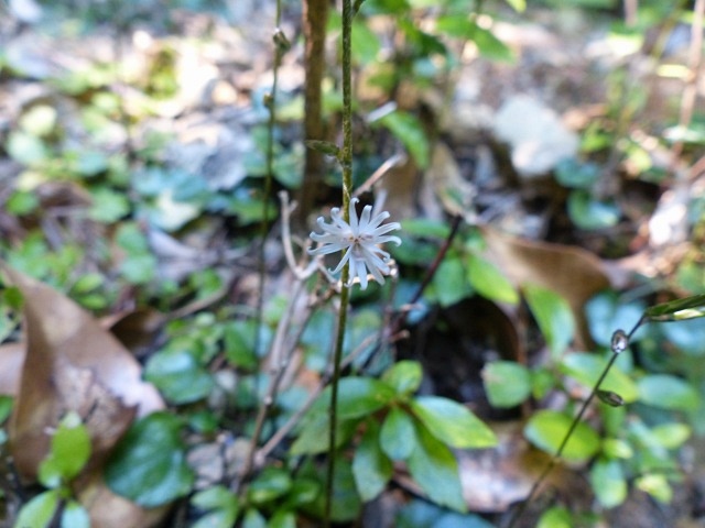f0357487_23101718.jpg