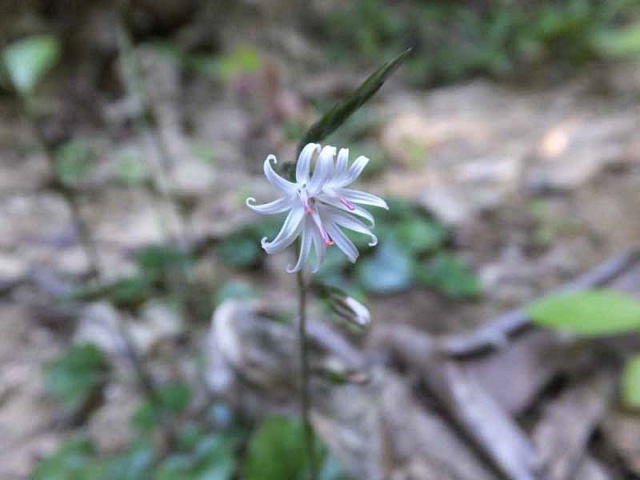 f0357487_2381086.jpg