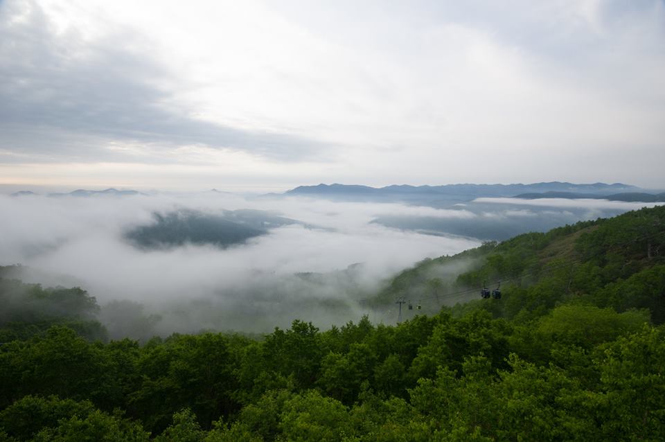 e0161692_10295231.jpg