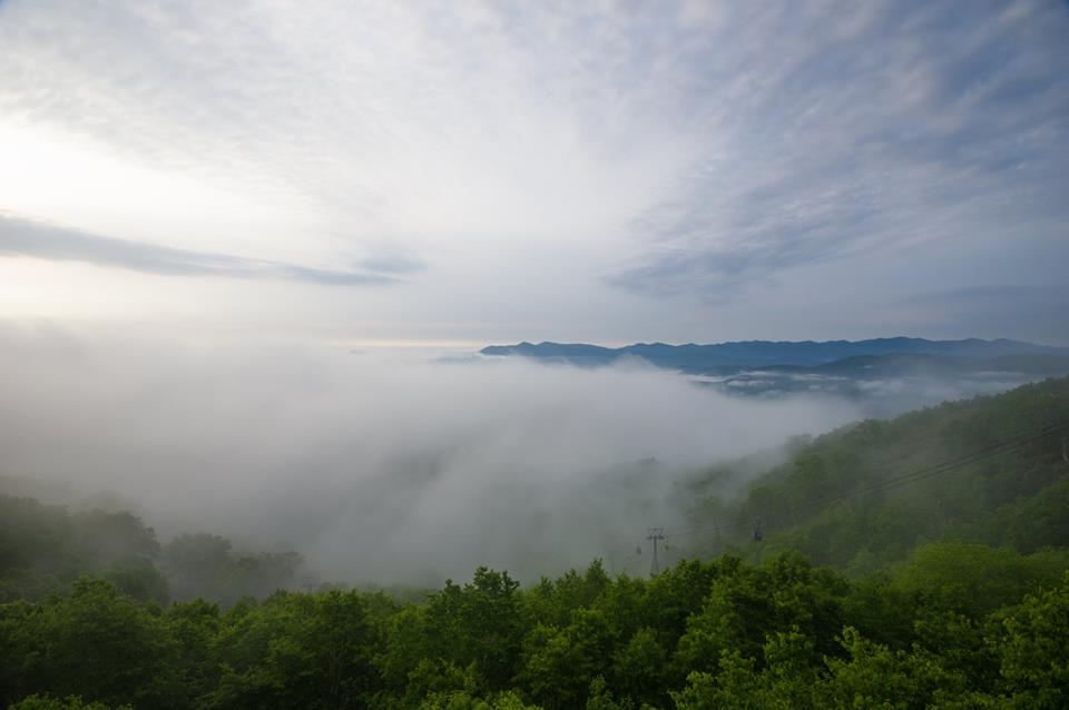 e0161692_10302331.jpg