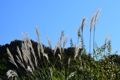 c0187298_2314128.jpg
