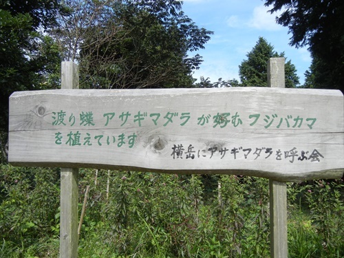 c0361298_23341271.jpg