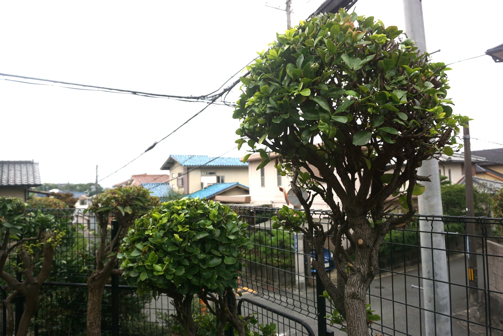 f0353904_1619067.jpg