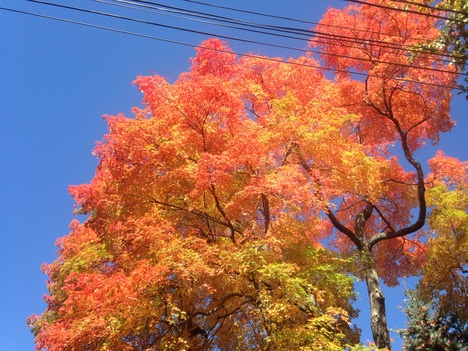 a0161409_3134290.jpg