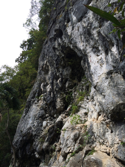 c0210618_22245850.jpg