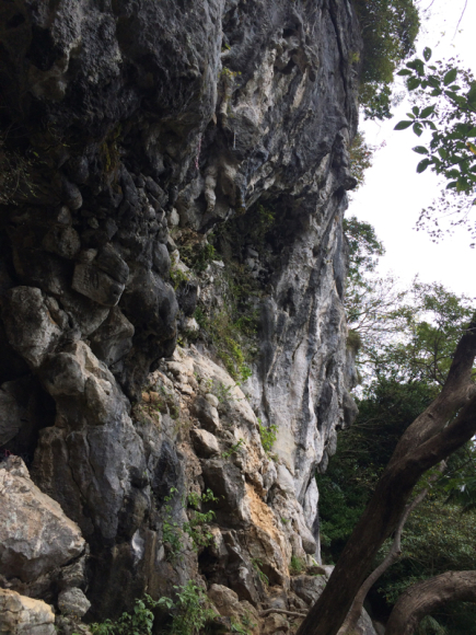 c0210618_22245900.jpg