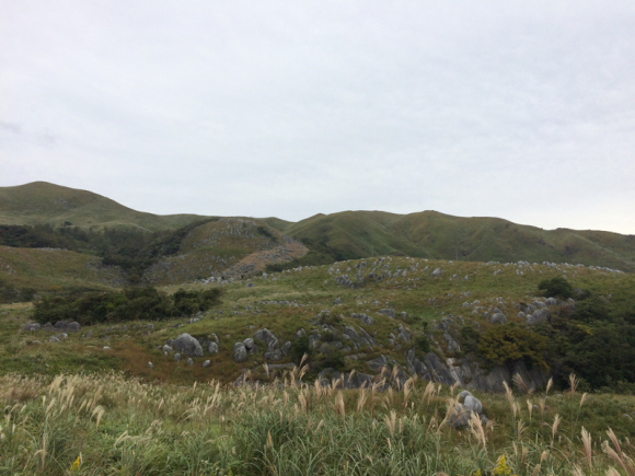 c0210618_22245999.jpg