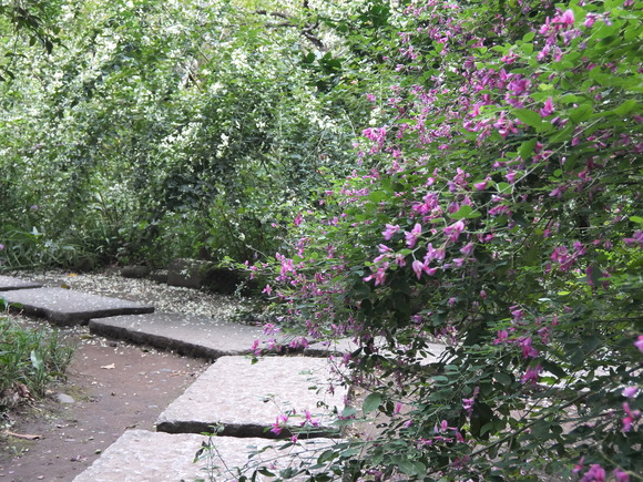 d0195623_14185617.jpg